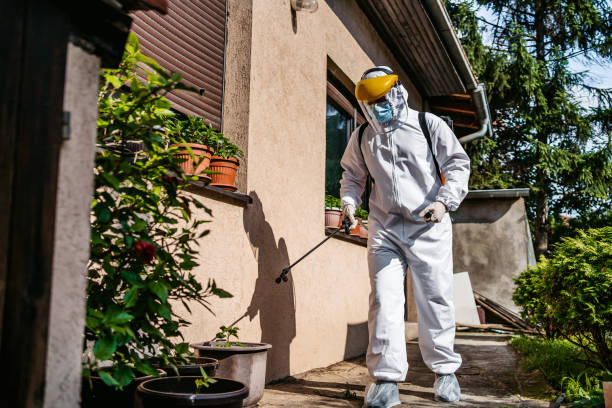 Wasp Removal Services in Hyattsville, MD