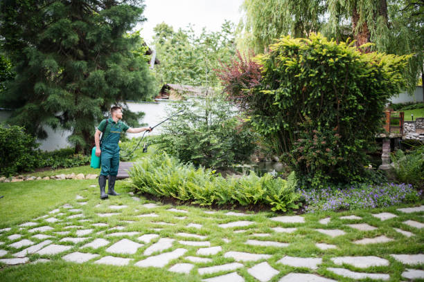 Best Ant Control Services  in Hyattsville, MD