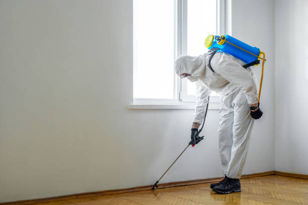 Pest Control for Restaurants in Hyattsville, MD